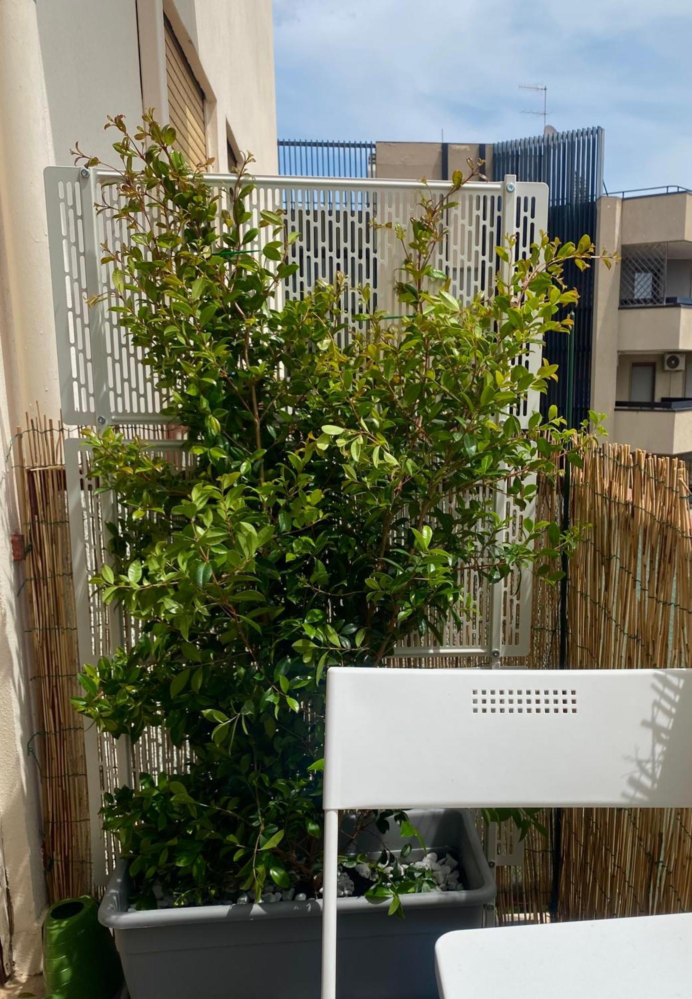 Via Roma A Un Passo Dalle Universita! Sassari Exteriör bild